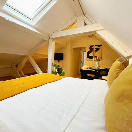 Bliss - Check In H24 - Proche Centre Appartement