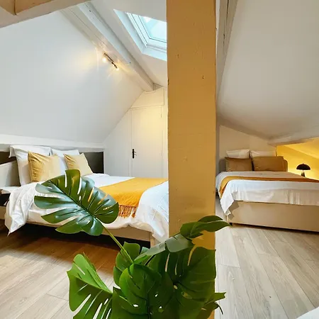 Appartement Bliss - Check In H24 - Proche Centre Lyon