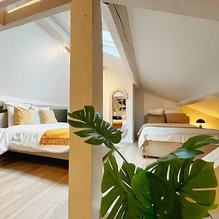 Bliss - Check In H24 - Proche Centre Appartement *